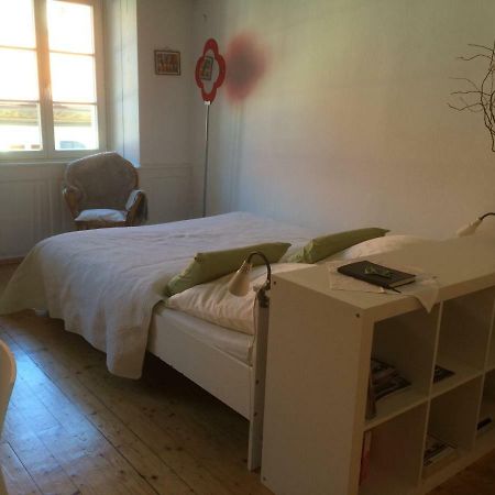 Zum Gruenen Lindenbaum Z5B Apartment Констанц Екстериор снимка