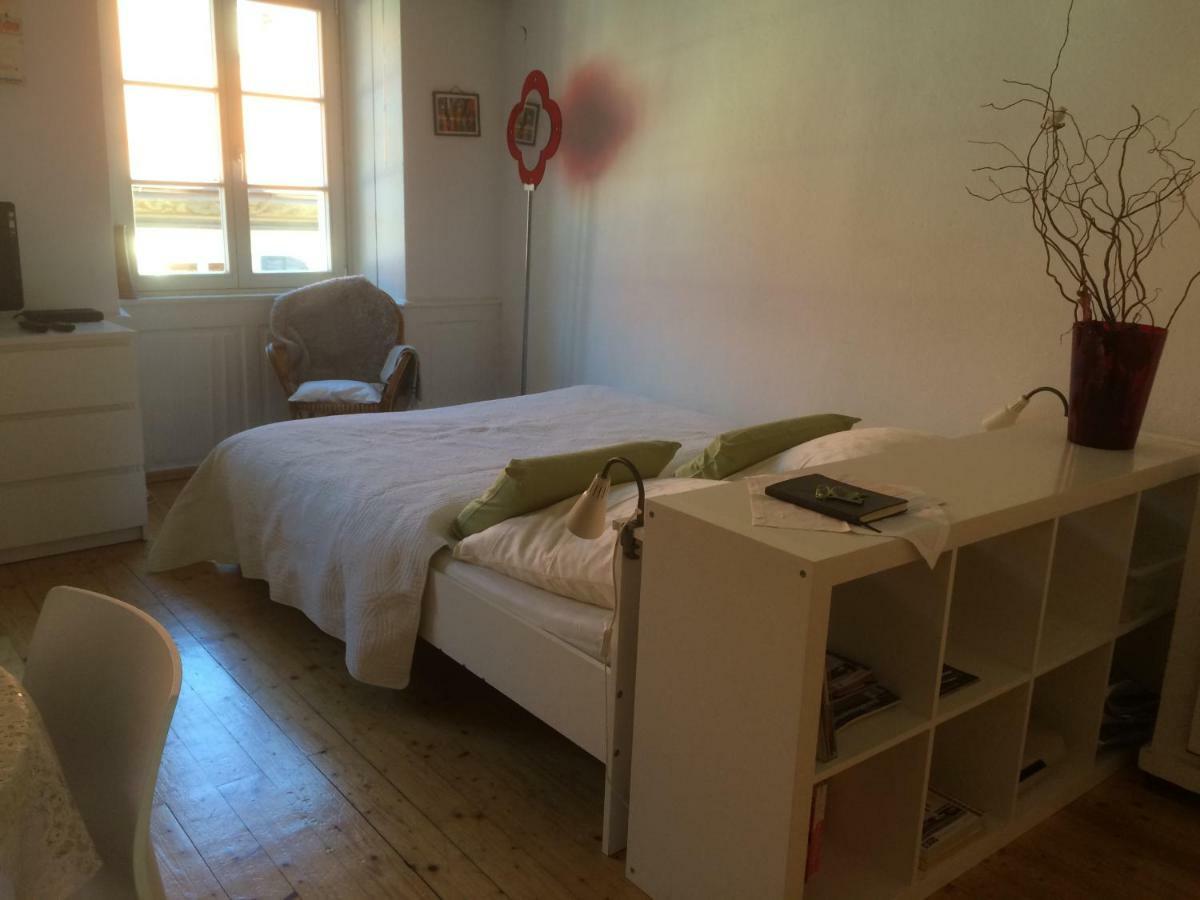 Zum Gruenen Lindenbaum Z5B Apartment Констанц Екстериор снимка